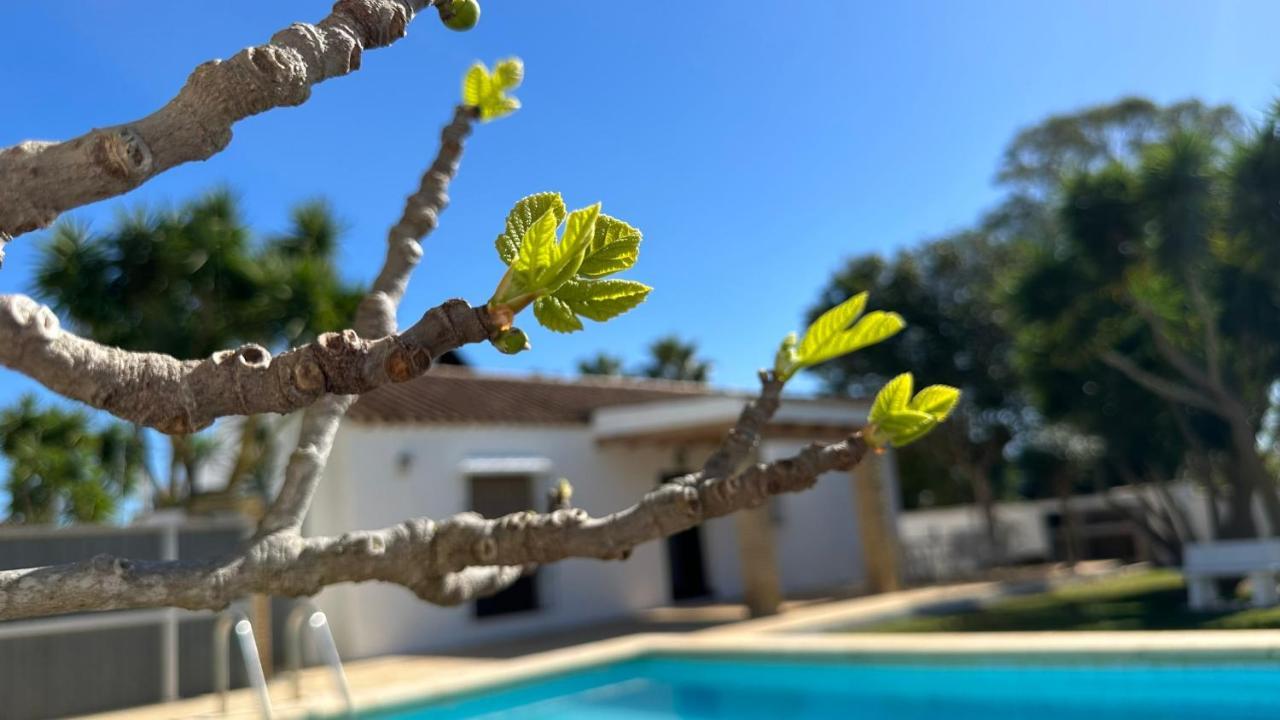 Affittacamere Vivienda Rural Atlantico Sur Conil De La Frontera Esterno foto